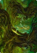 Neverwinter Dryad Art Card (69) [Art Series: Adventures in the Forgotten Realms]