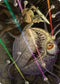 Hive of the Eye Tyrant Art Card (53) [Art Series: Adventures in the Forgotten Realms]