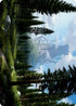 Forest () Art Card (61) [Art Series: Adventures in the Forgotten Realms]