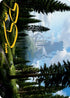 Forest () Art Card (Gold-Stamped Signature) (61) [Art Series: Adventures in the Forgotten Realms]