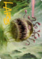 Beholder Art Card (Gold-Stamped Signature) (1) [Art Series: Adventures in the Forgotten Realms]