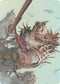 Gnoll Art Card (11) [Art Series: Adventures in the Forgotten Realms]