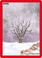 Winter (149) [Cryptid Nation: First Edition]