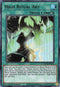 High Ritual Art (DAMA-EN065) [Dawn of Majesty]