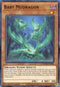 Baby Mudragon (DAMA-EN081) [Dawn of Majesty]