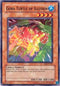 Gora Turtle of Illusion (DR2-EN067) [Dark Revelation Volume 2]