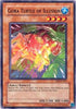 Gora Turtle of Illusion (DR2-EN067) [Dark Revelation Volume 2]
