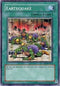 Earthquake (DR2-EN155) [Dark Revelation Volume 2]