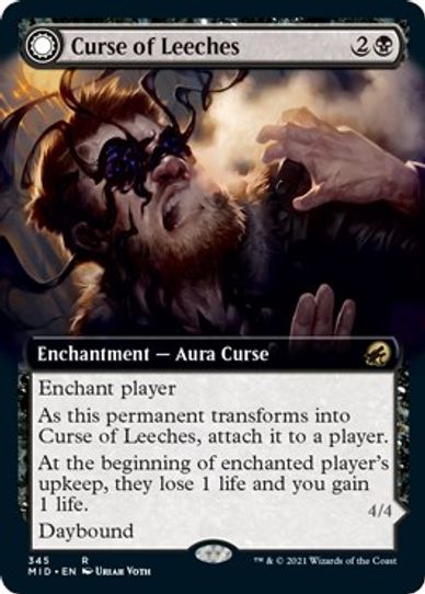 Curse of Leeches (Extended Art) (345) [Innistrad: Midnight Hunt]
