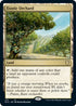 Exotic Orchard (173) [Commander: Innistrad: Midnight Hunt]