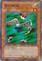 Skelengel (YSD-EN011) [Starter Deck 2006]