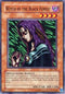 Witch of the Black Forest (SKE-020) [Starter Deck: Kaiba Evolution]