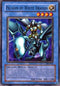Paladin of White Dragon (SKE-024) [Starter Deck: Kaiba Evolution]