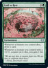 Laid to Rest (207) [Innistrad: Crimson Vow]
