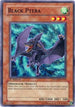 Black Ptera (POTD-EN018) [Power of the Duelist]