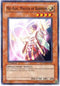 Mei-kou, Master of Barriers (FOTB-EN025) [Force of the Breaker]