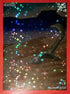 Ground (4/10) [Cryptid Nation: Second Edition Box Toppers]