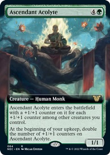 Ascendant Acolyte (Extended Art) (64) [Commander: Kamigawa: Neon Dynasty]