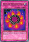 Ring of Destruction (IOC-SE3) [Invasion of Chaos]