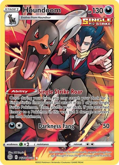 Houndoom (TG10/TG30) [SWSH09: Brilliant Stars Trainer Gallery]
