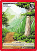 Grand National Park (Forest) (149/165) [Wilderness: First Edition]