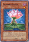 Samsara Lotus (PTDN-EN004) [Phantom Darkness]