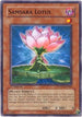 Samsara Lotus (PTDN-EN004) [Phantom Darkness]