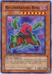 Regenerating Rose (PTDN-EN005) [Phantom Darkness]