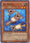 Sea Koala (PTDN-EN037) [Phantom Darkness]