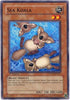Sea Koala (PTDN-EN037) [Phantom Darkness]
