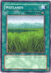 Wetlands (LODT-EN054) [Light of Destruction]