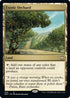 Exotic Orchard (400) [Commander: Streets of New Capenna]