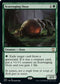 Scavenging Ooze (309) [Commander: Streets of New Capenna]