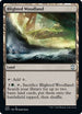 Blighted Woodland (388) [Commander: Streets of New Capenna]