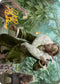 Rumor Gatherer Art Card (Gold-Stamped Signature) (7) [Art Series: Streets of New Capenna]