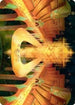 Racers' Ring Art Card (80) [Art Series: Streets of New Capenna]