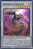 Immortal Dragon (DIFO-EN041) [Dimension Force]
