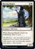 Roving Harper (40) [Commander Legends: Battle for Baldur's Gate]