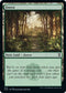 Forest (470) [Commander Legends: Battle for Baldur's Gate]