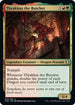 Thrakkus the Butcher (295) [Commander Legends: Battle for Baldur's Gate]