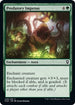 Predatory Impetus (249) [Commander Legends: Battle for Baldur's Gate]