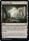 Evolving Wilds (352) [Commander Legends: Battle for Baldur's Gate]