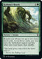 Kodama's Reach (826) [Commander Legends: Battle for Baldur's Gate]