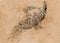 Decanter of Endless Water Art Card (79) [Art Series: Commander Legends: Battle for Baldur's Gate]
