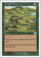 Summer Bloom (255) [Classic Sixth Edition]