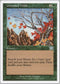 Untamed Wilds (263) [Classic Sixth Edition]