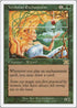 Verduran Enchantress [Classic Sixth Edition]