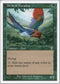 Birds of Paradise [7th Edition]