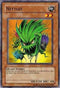 Nettles (CSOC-EN024) [Crossroads of Chaos]