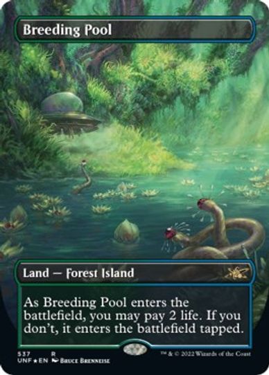 Breeding Pool (Borderless) (Galaxy Foil) (537) [Unfinity]